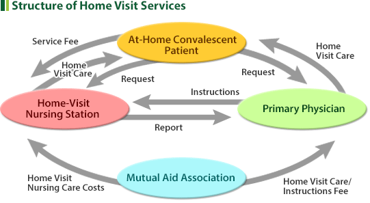 Structure of Home Visit Services